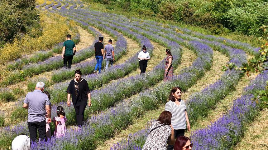Erzincan'daki lavanta bah&ccedil;esi ziyaret&ccedil;ilerin ilgi odağı oldu