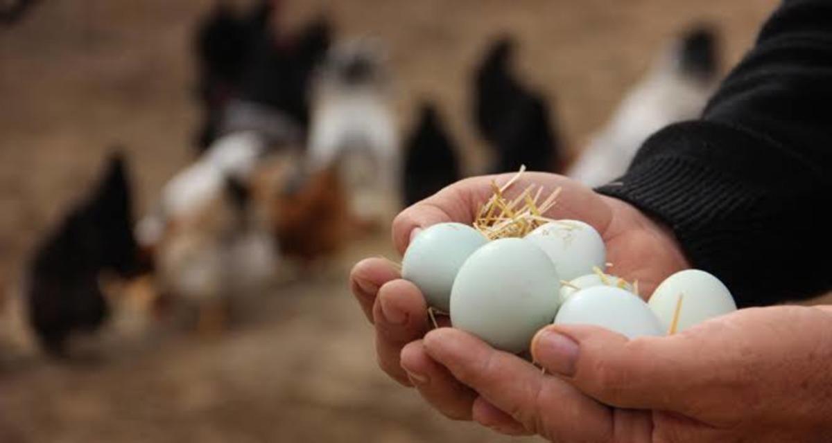 Markası değil üzerindeki koda dikkat! Meğer düşündüğünüzden daha önemliymiş 1