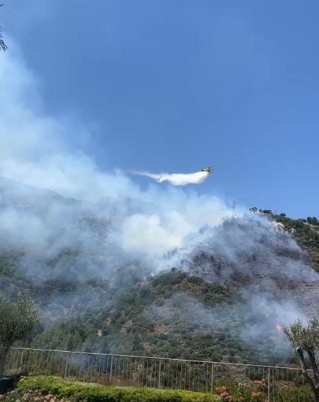 Narlıdere’deki orman yangınına havadan ve karadan müdahale 2