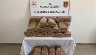 Yalova&rsquo;da 160 kilo ka&ccedil;ak t&uuml;t&uuml;n ele ge&ccedil;irildi