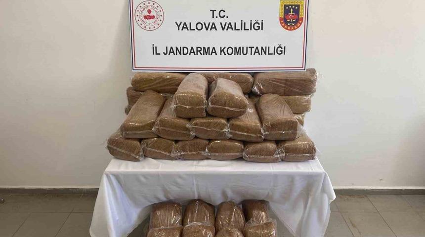 Yalova&rsquo;da 160 kilo ka&ccedil;ak t&uuml;t&uuml;n ele ge&ccedil;irildi