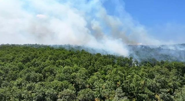 Çatalca Ormanlı’da orman yangını havadan ve karadan müdahaleyle söndürüldü 1