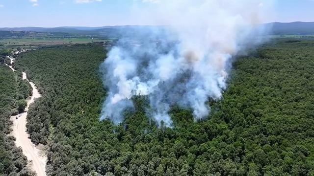 Çatalca Ormanlı’da orman yangını havadan ve karadan müdahaleyle söndürüldü
