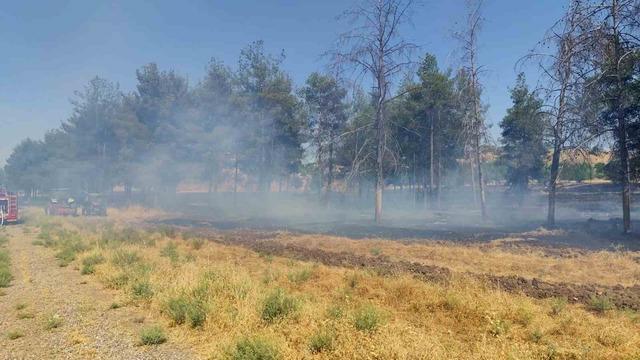 Dicle Üniversitesi yerleşkesinde örtü yangını 1