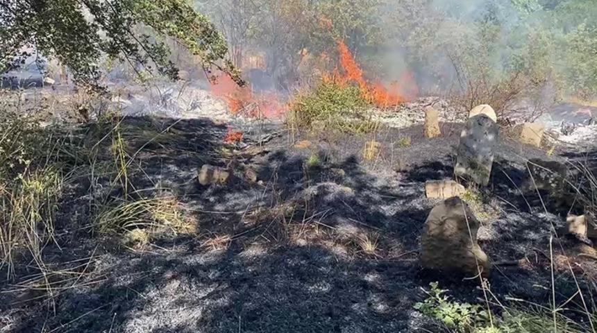 Bitlis&rsquo;te peş peşe &ccedil;ıkan yangınlar paniğe neden oldu
