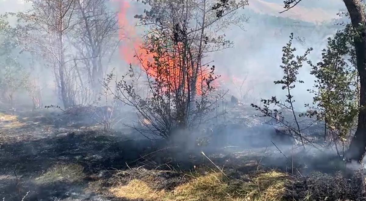 Bitlis’te peş peşe çıkan yangınlar paniğe neden oldu 1