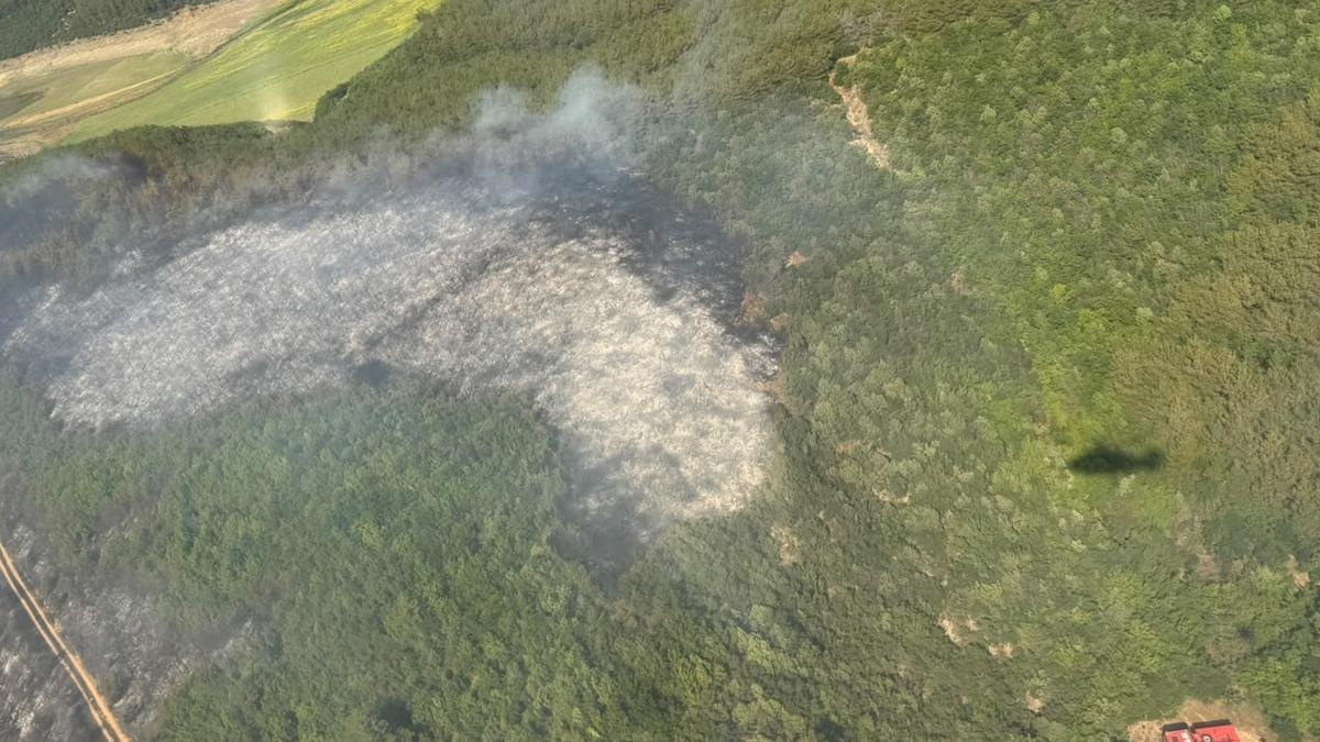 Tekirdağ'da çıkan orman yangını söndürüldü