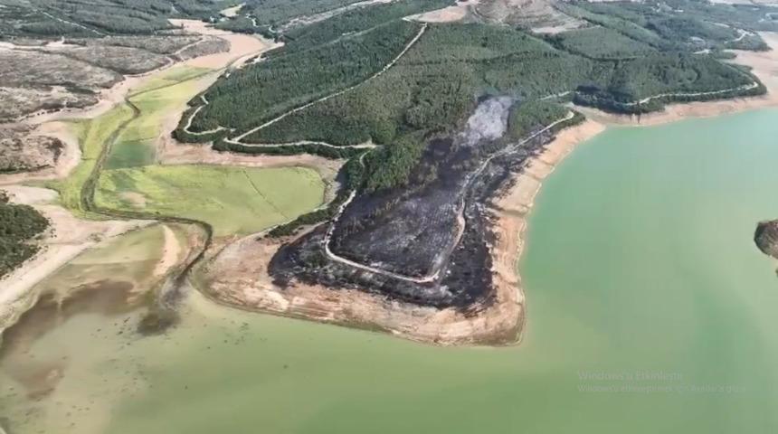 Tekirdağ'da yangında 80 dekar orman zarar g&ouml;rd&uuml;