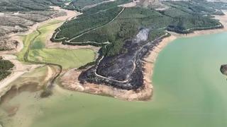 Tekirdağ'da yangında 80 dekar orman zarar gördü