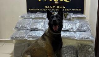 Bandırma&rsquo;da g&uuml;bre torbalarının altına gizlenen 11,2 kilo skunk ele ge&ccedil;irildi