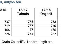 IGC 2018/19 dünya buğday üretim öngörüsünü düşürdü