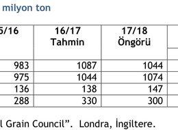 IGC 2018/19 dünya mısır üretim öngörüsünü yükseltti