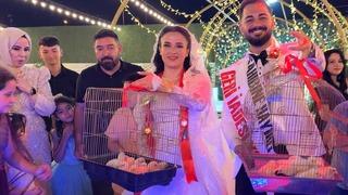 Evlenen çırağına altın yerine civciv hediye etti
