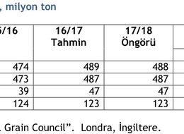 IGC 2018/19 dünya pirinç üretim öngörüsünü yükseltti