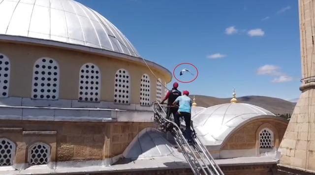 Yavru leylek için ekipler harekete geçti 1