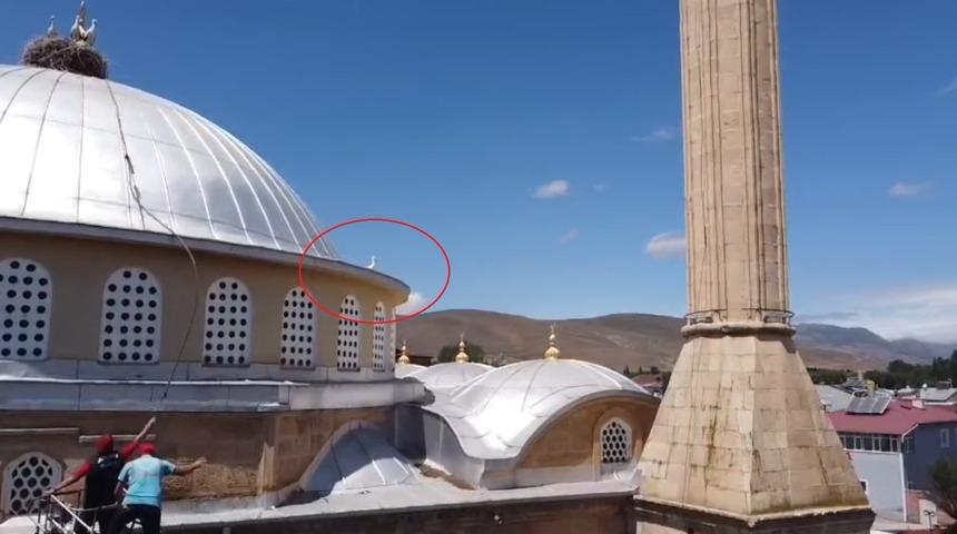 Yavru leylek i&ccedil;in ekipler harekete ge&ccedil;ti
