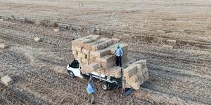 Yazın en kazan&ccedil;lı işlerinden biri! G&uuml;nl&uuml;k gelir 7 bin liraya ulaştı