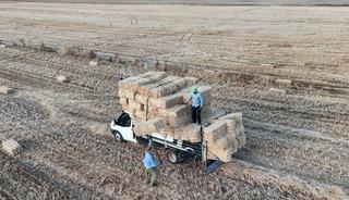 Yazın en kazan&ccedil;lı işlerinden biri! G&uuml;nl&uuml;k gelir 7 bin liraya ulaştı