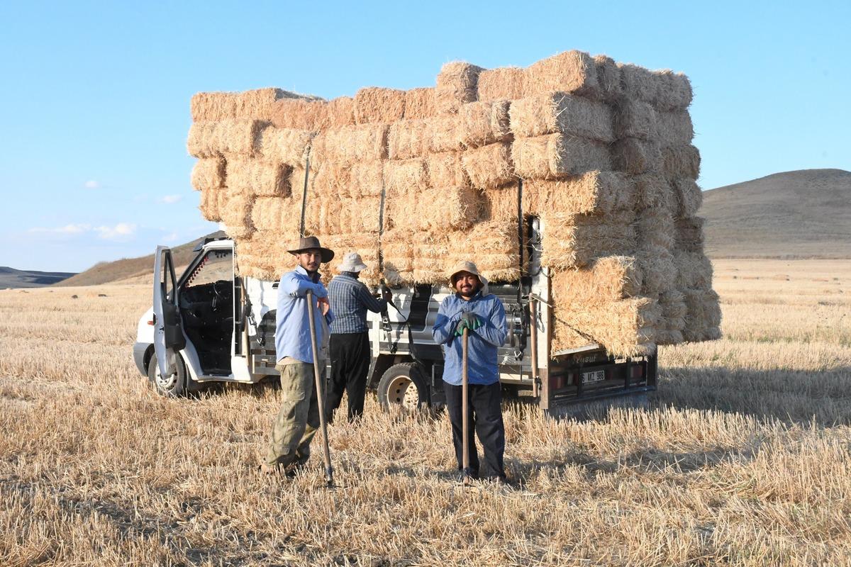 Yazın en kazançlı işlerinden biri! Günlük gelir 7 bin liraya ulaştı 1