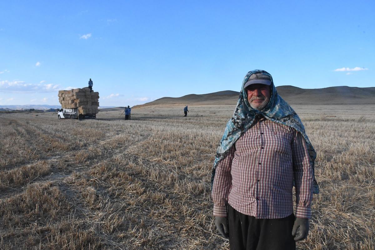 Yazın en kazançlı işlerinden biri! Günlük gelir 7 bin liraya ulaştı 3