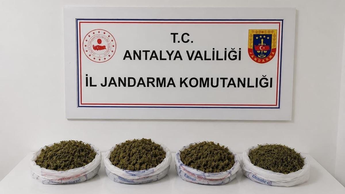 Evde yapılan aramada 1 kilo 979 gram kubar esrar ele geçirildi