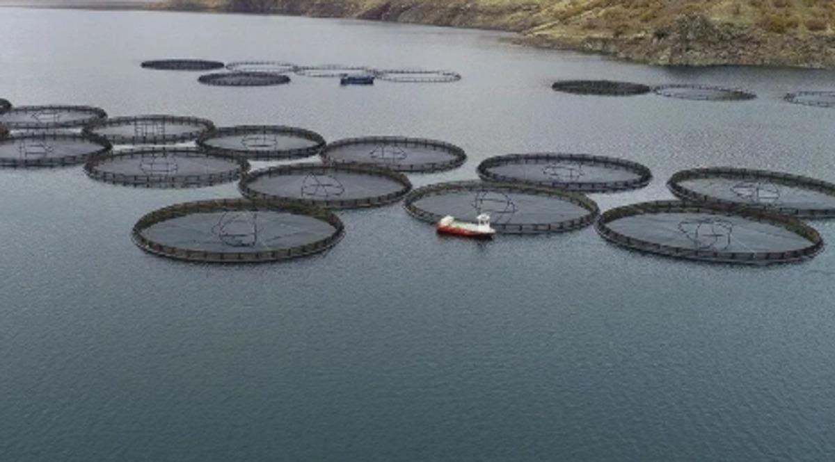 Su ürünleri ihracatı ilk yarıda 1,9 milyar dolara ulaştı 1
