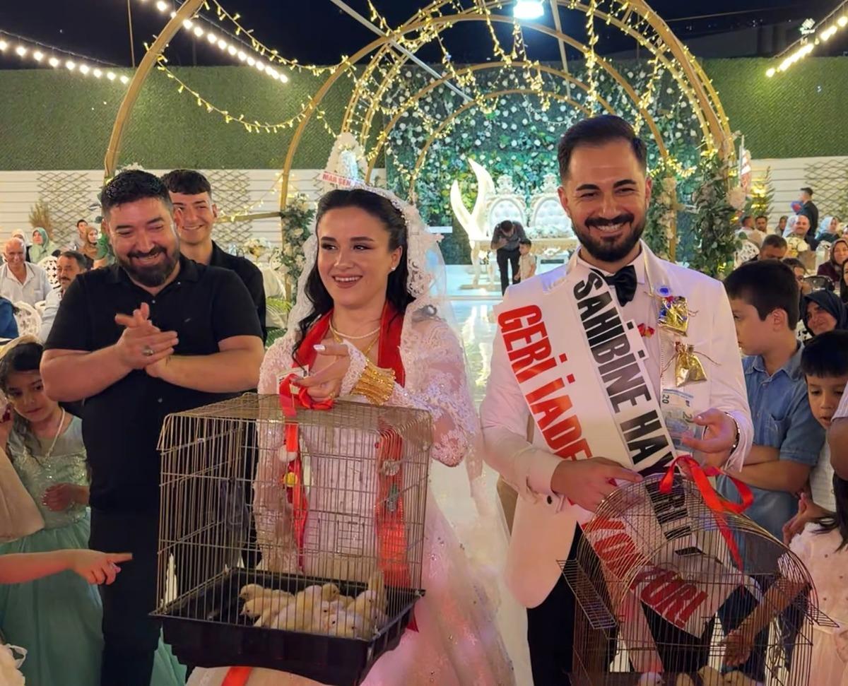 Evlenen çırağına altın yerine civciv hediye etti 1