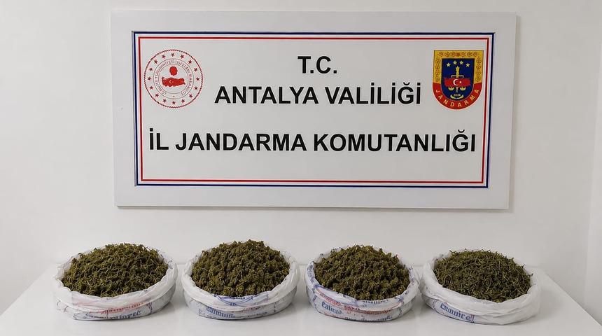 Antalya'da uyuşturucu operasyonu! 1 kilo 979 gram esrar ele ge&ccedil;irildi