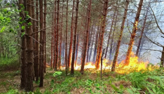 Kastamonu'da &ccedil;ıkan orman yangını s&ouml;nd&uuml;r&uuml;ld&uuml;