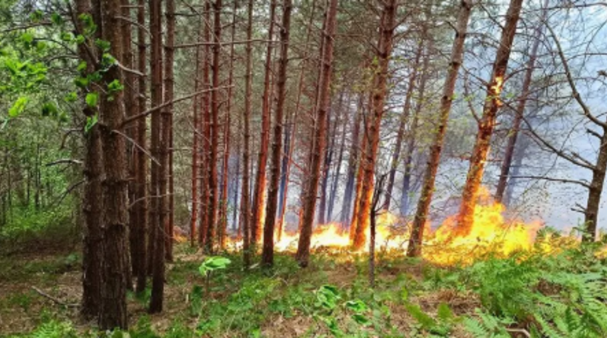 Kastamonu'da &ccedil;ıkan orman yangını s&ouml;nd&uuml;r&uuml;ld&uuml;