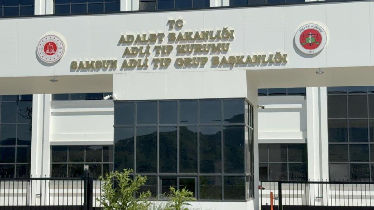 Ihlamur ağacından düşen yaşlı adam hayatını kaybetti