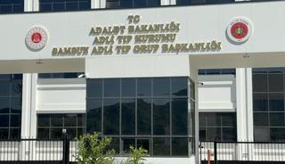 Ihlamur ağacından d&uuml;şen yaşlı adam hayatını kaybetti