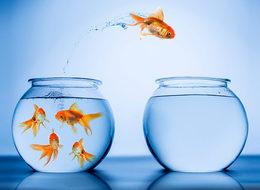 Girişimci adaylarına 7 altın öneri