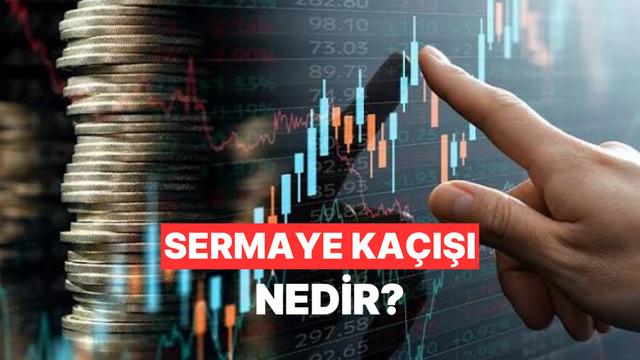 Sermaye Kaçışı Nedir? Neden Olur ve Ne Gibi Zorluklara Yol Açar?