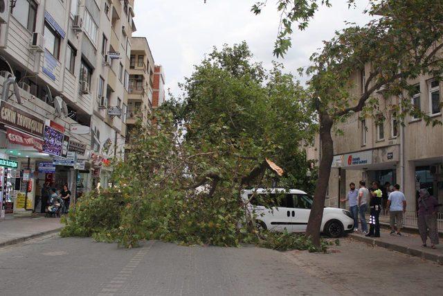 İzmir'deki şiddetli rüzgar pazar tezgahlarını yıktı (2)