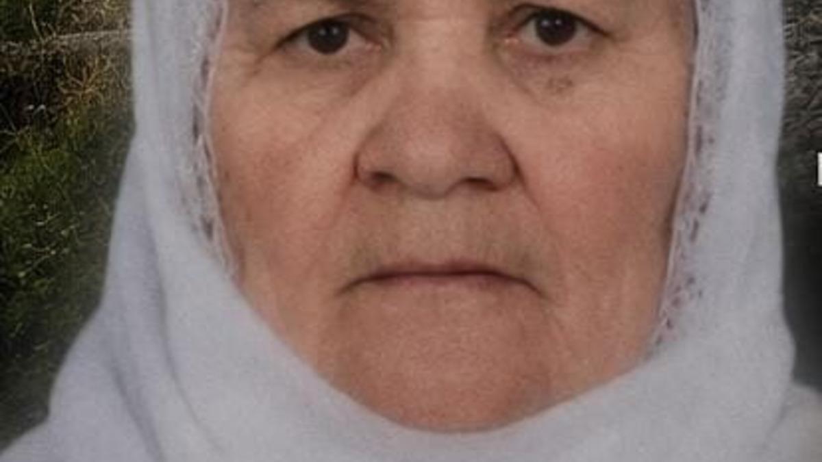 Tatvan’da trenin çarptığı yaşlı kadın hayatını kaybetti