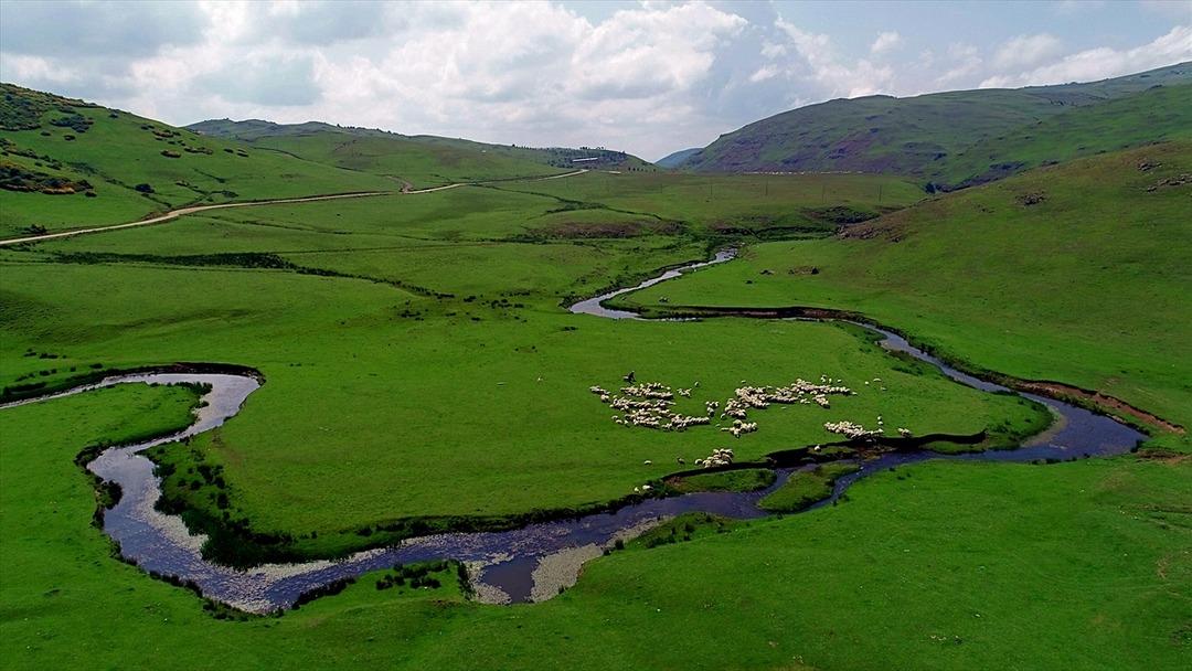 T&uuml;rkiye'nin eşsiz g&uuml;zelliği: Perşembe Yaylası