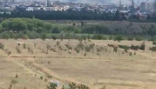 Ankara&rsquo;daki ot yangını kontrol altına alındı