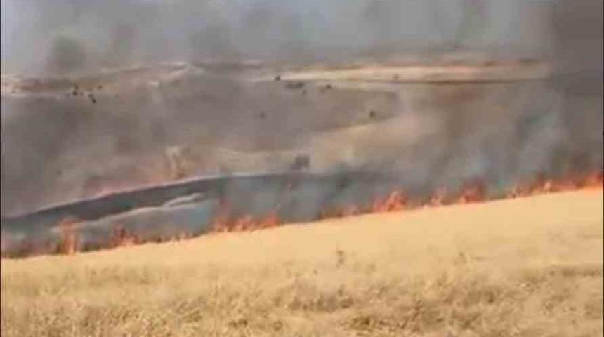 Ankara&rsquo;da &ccedil;ıkan ot yangını kontrol altına alındı