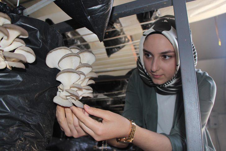 Üniversiteyi bitirip iş bulamayınca, kendi işinin sahibi oldu G3