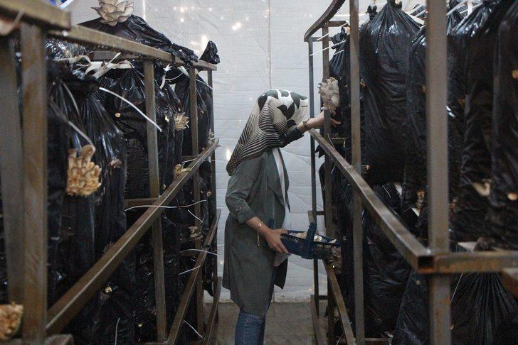 Üniversiteyi bitirip iş bulamayınca, kendi işinin sahibi oldu G2