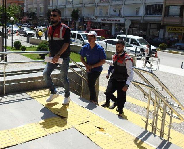 Çorum'da çalınıp, Yozgat'ta bulunan buzağısını biberonla besledi