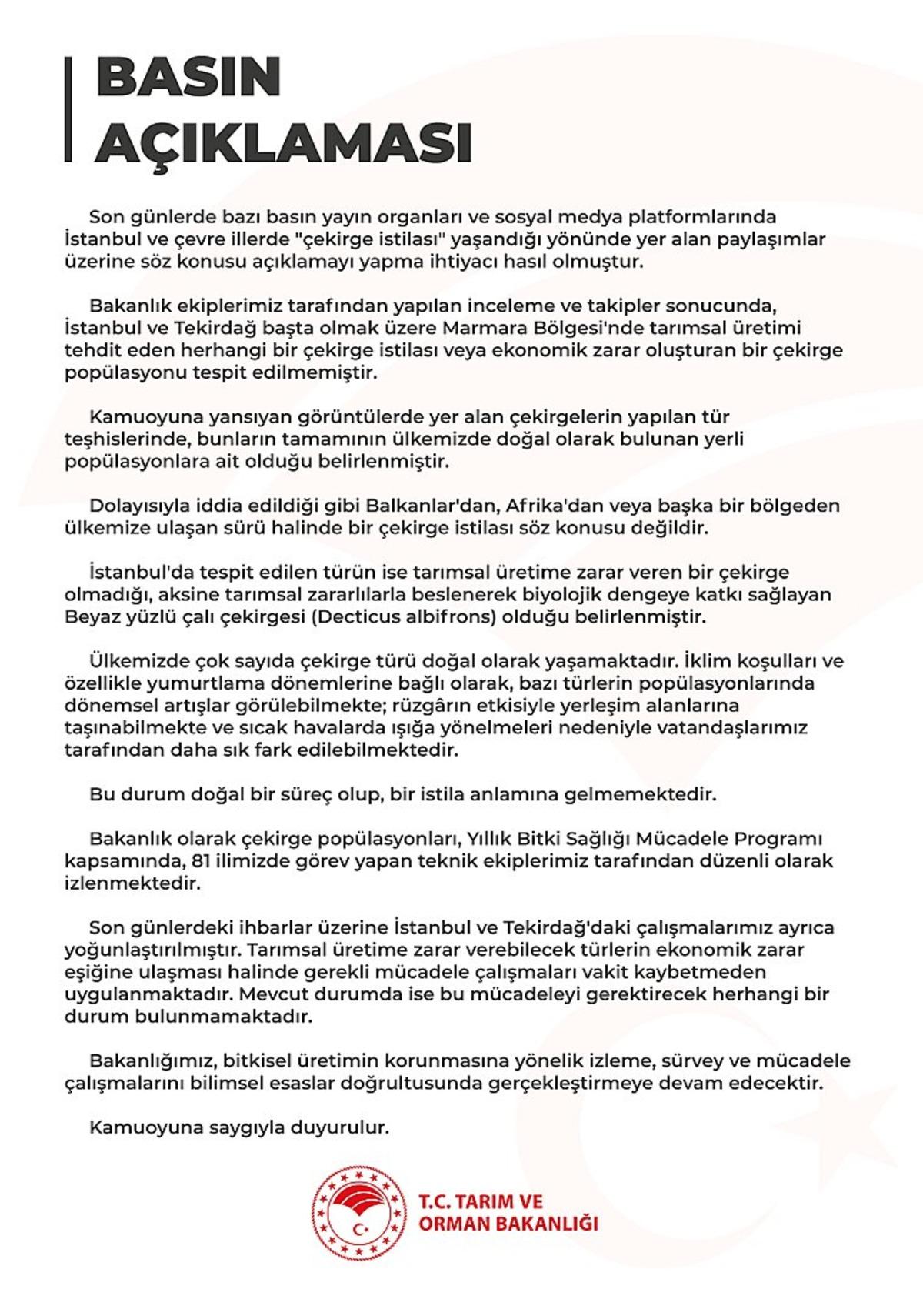 O çekirgelerin türü belli oldu! İstila iddialarına bakanlıktan açıklama: "Daha sık fark edilebiliyorlar" 3