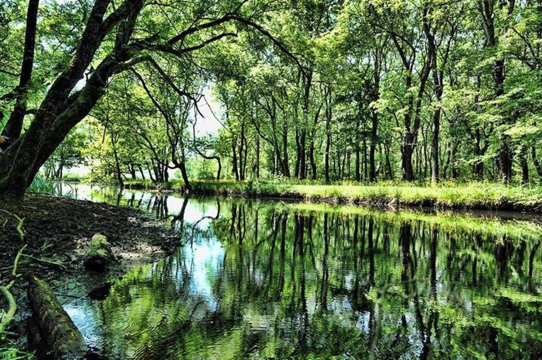 Trakya'nın saklı cenneti a&ccedil;ığa &ccedil;ıktı