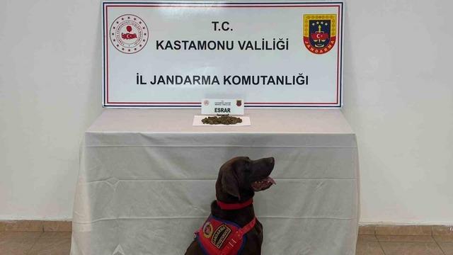 Kastamonu’da uyuşturucu operasyonlarında 5 şüpheli gözaltına alındı 1