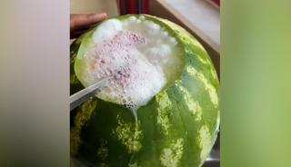 Bı&ccedil;ağı vurduğu an fışkırdı! K&ouml;p&uuml;ren karpuz tehlike sa&ccedil;ıyor
