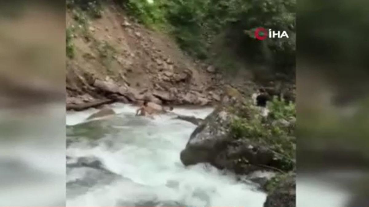 Uzungöl de can pazarı: Dengesini kaybedip dereye düştü, kurtarmak isteyen arkadaşı akıntıya kapıldı 1