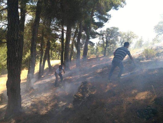 Ormanlık alanda çıkan yangın, büyümeden söndürüldü