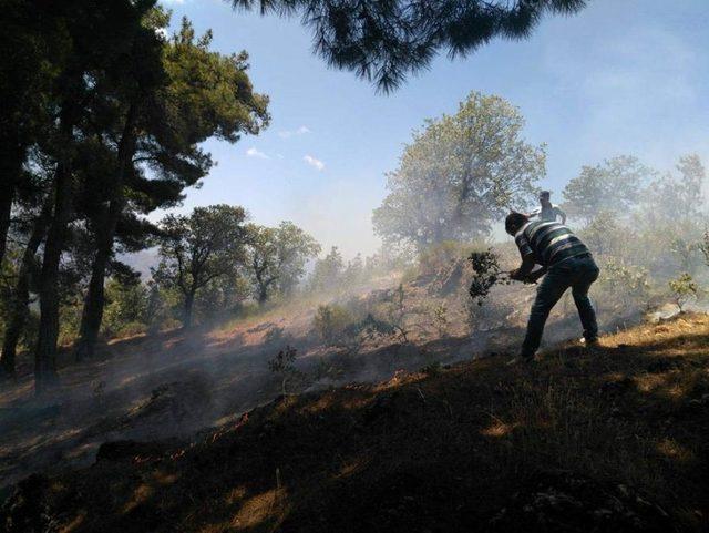 Ormanlık alanda çıkan yangın, büyümeden söndürüldü