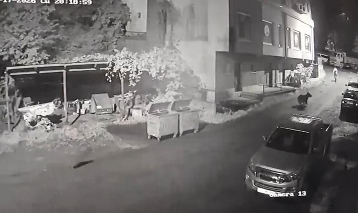 Rize’de vatandaşı ayı kovaladı, o anlar kameraya yansıdı 1